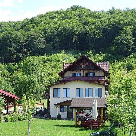 Hotel Casa Din Salcami Polovragi Zewnętrze zdjęcie