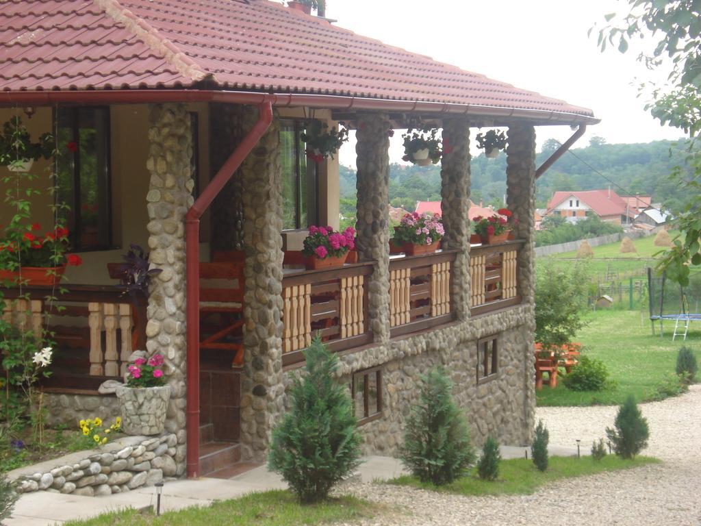 Hotel Casa Din Salcami Polovragi Zewnętrze zdjęcie