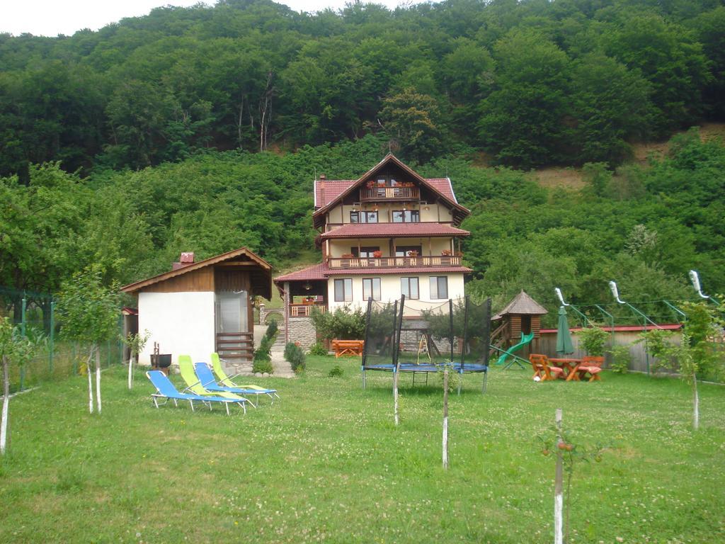 Hotel Casa Din Salcami Polovragi Zewnętrze zdjęcie