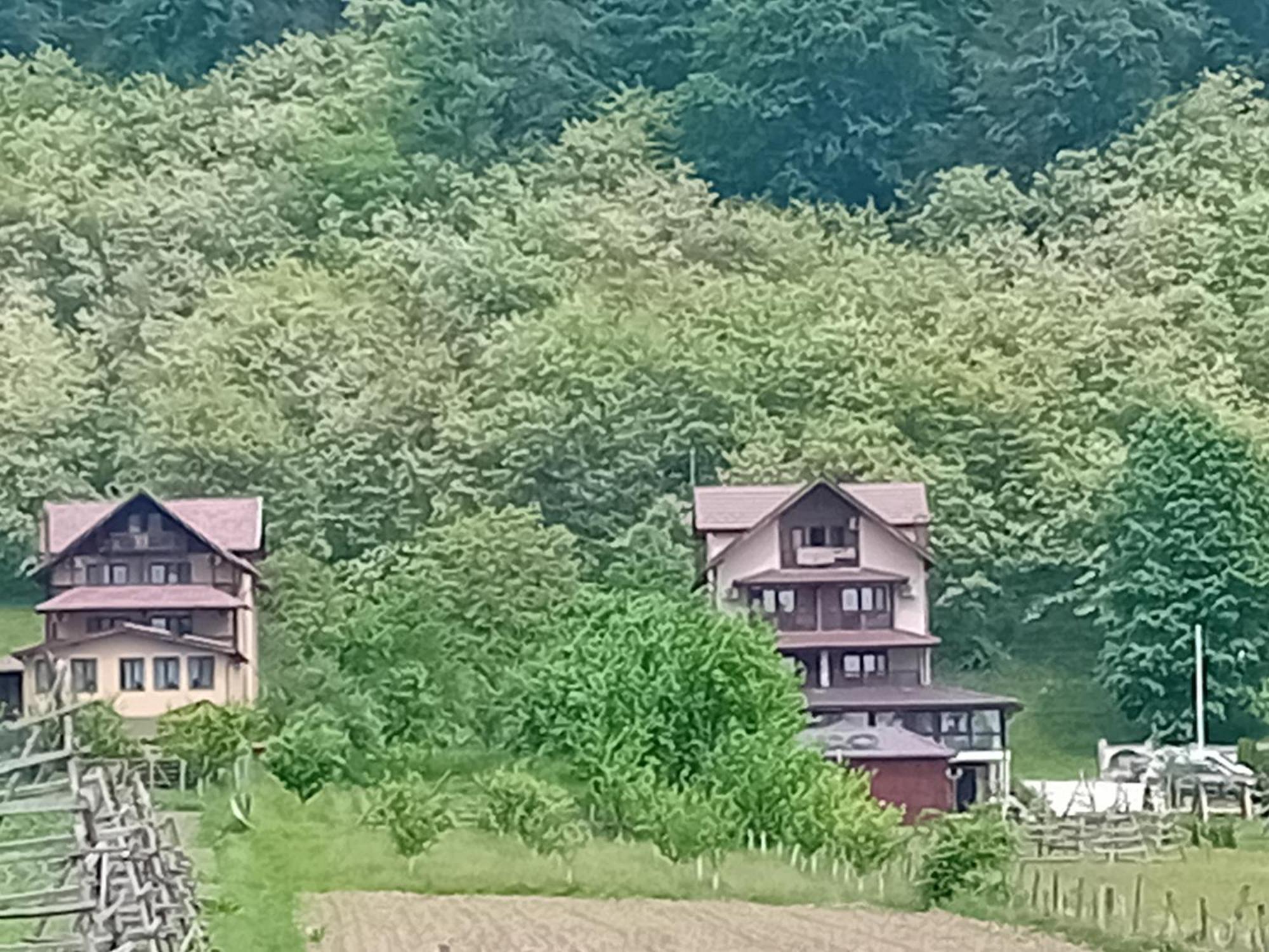 Hotel Casa Din Salcami Polovragi Zewnętrze zdjęcie