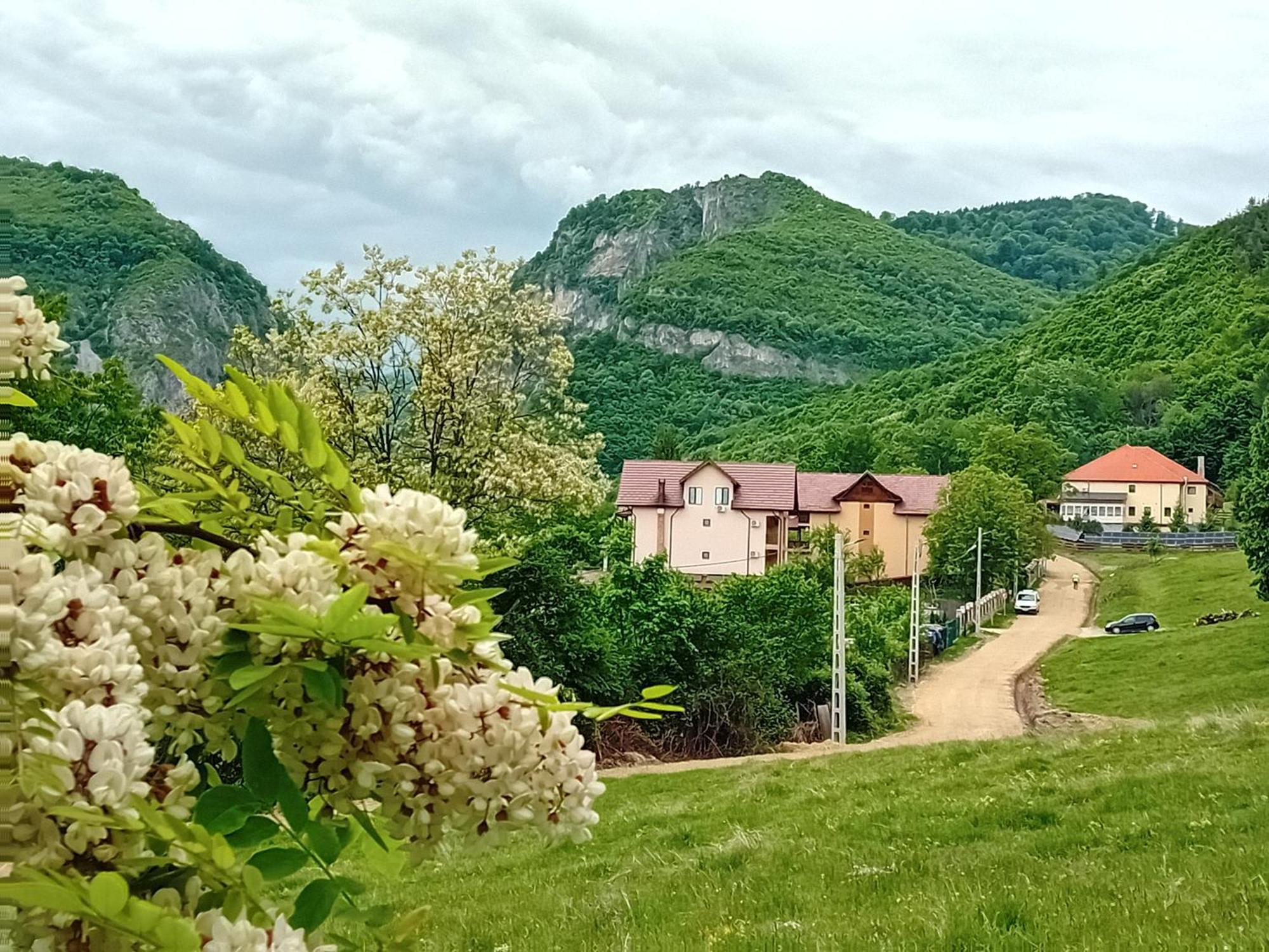 Hotel Casa Din Salcami Polovragi Zewnętrze zdjęcie