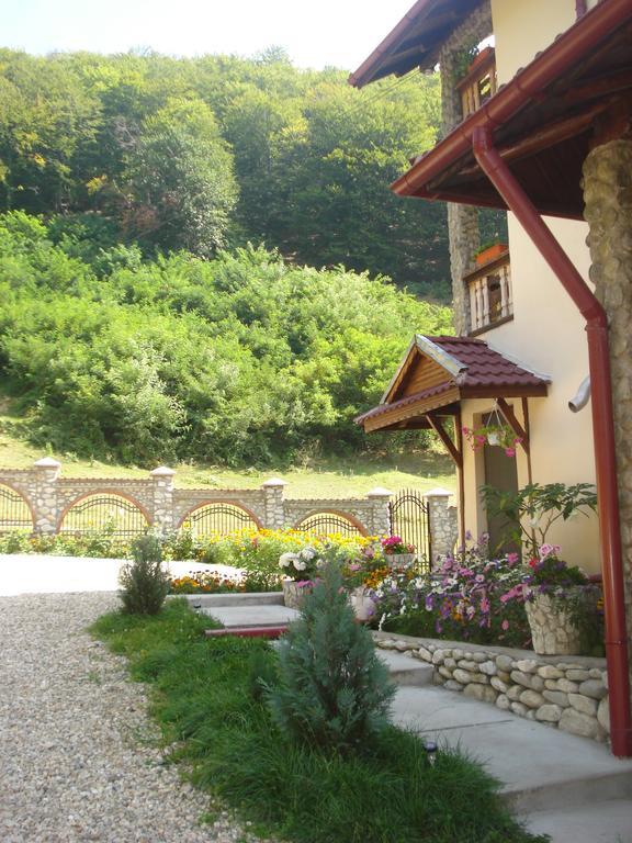 Hotel Casa Din Salcami Polovragi Zewnętrze zdjęcie