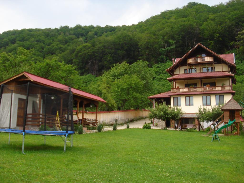 Hotel Casa Din Salcami Polovragi Zewnętrze zdjęcie