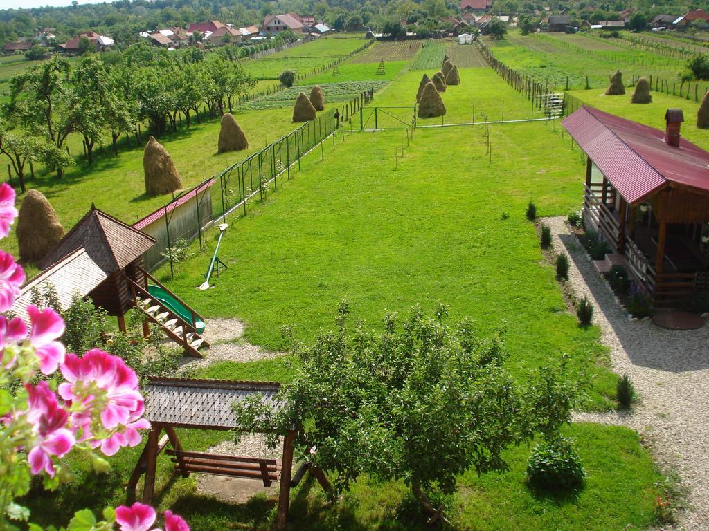 Hotel Casa Din Salcami Polovragi Zewnętrze zdjęcie