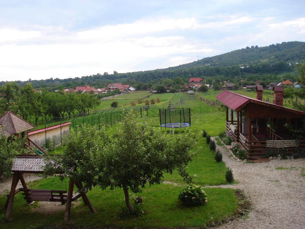 Hotel Casa Din Salcami Polovragi Zewnętrze zdjęcie