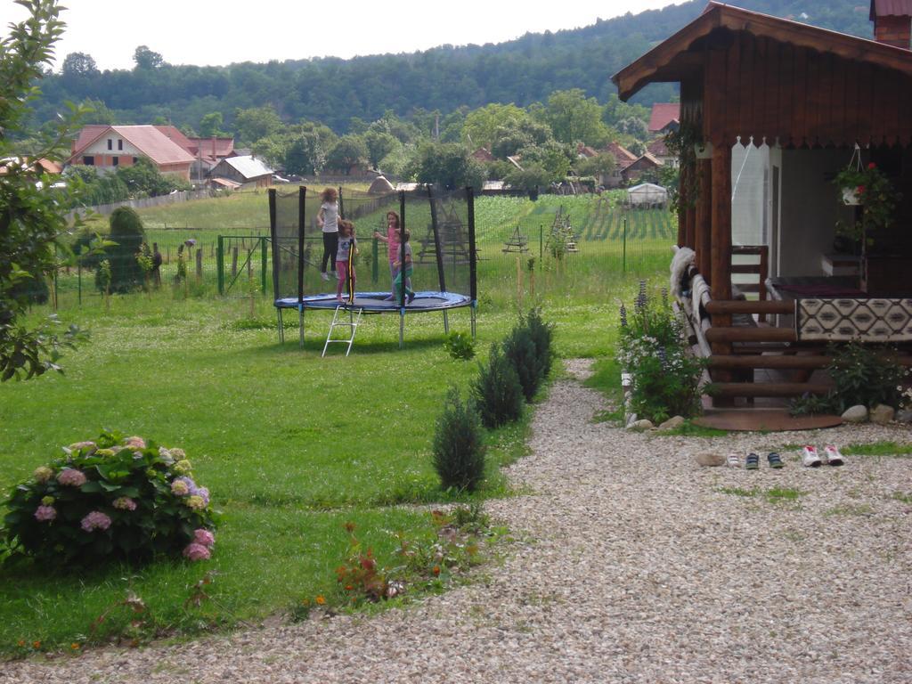 Hotel Casa Din Salcami Polovragi Zewnętrze zdjęcie