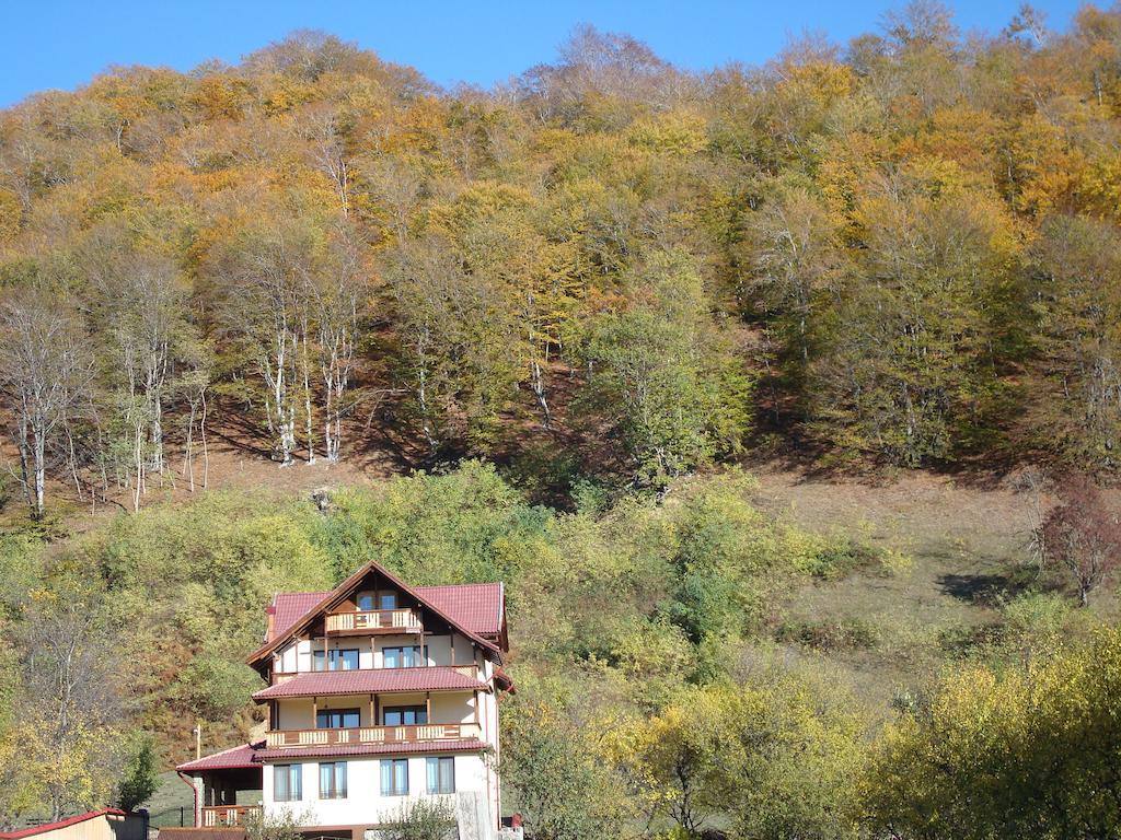 Hotel Casa Din Salcami Polovragi Zewnętrze zdjęcie