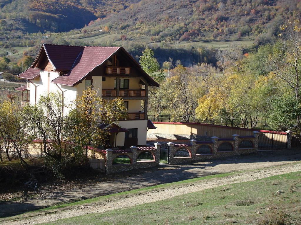 Hotel Casa Din Salcami Polovragi Zewnętrze zdjęcie