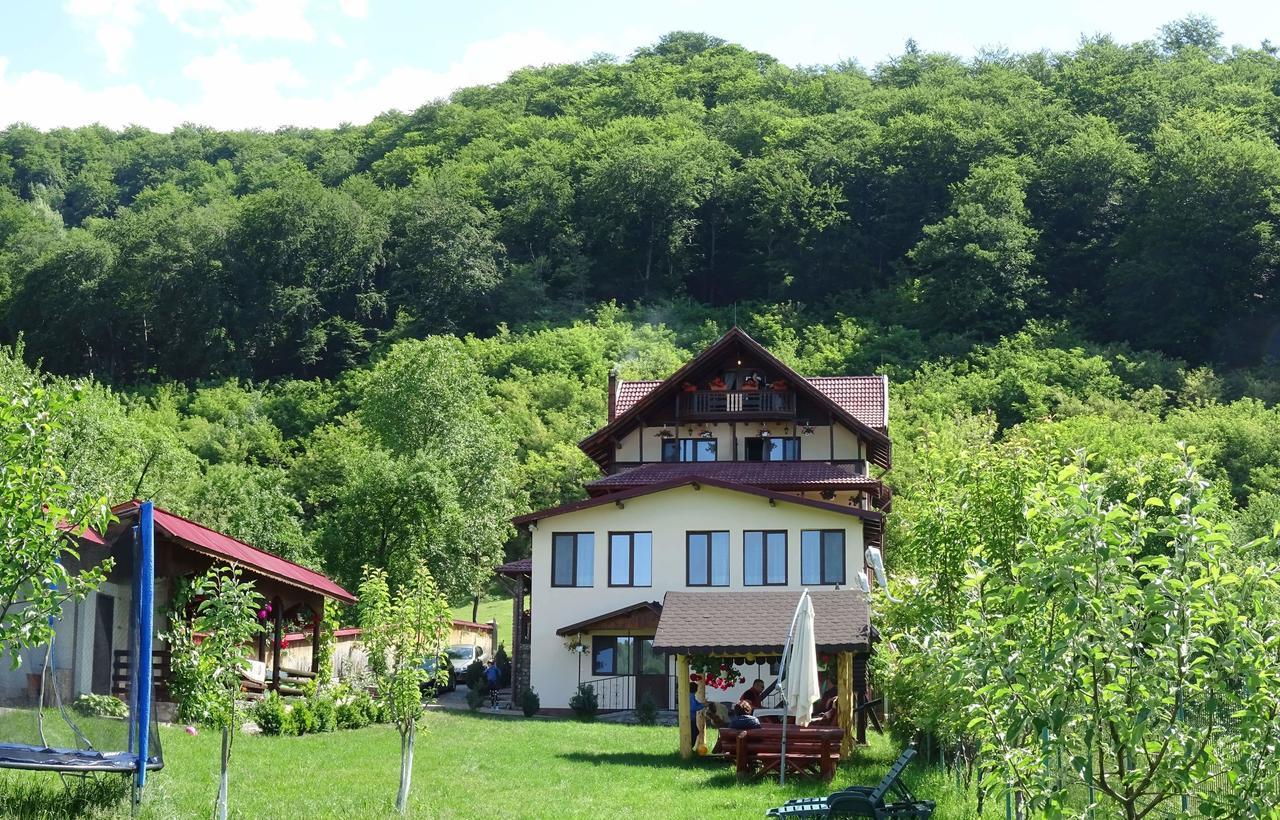 Hotel Casa Din Salcami Polovragi Zewnętrze zdjęcie