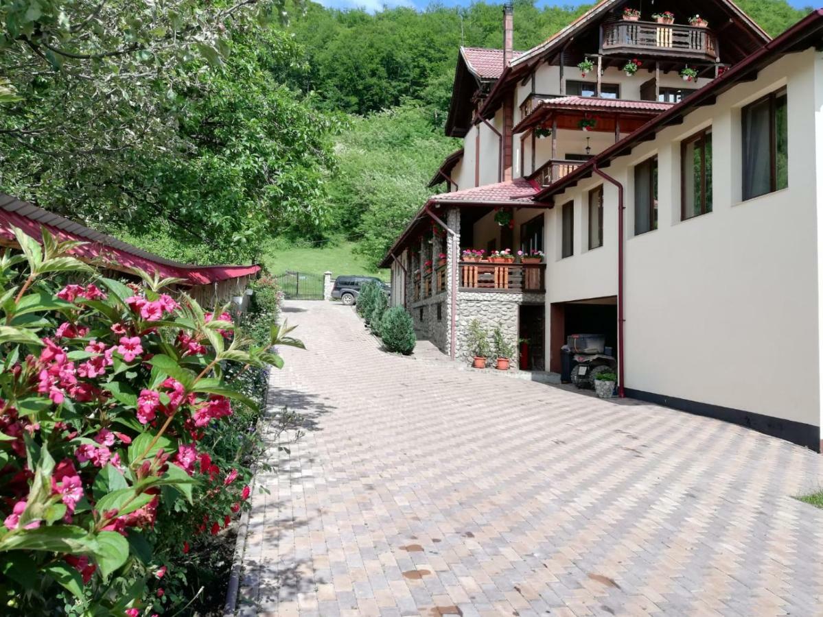 Hotel Casa Din Salcami Polovragi Zewnętrze zdjęcie