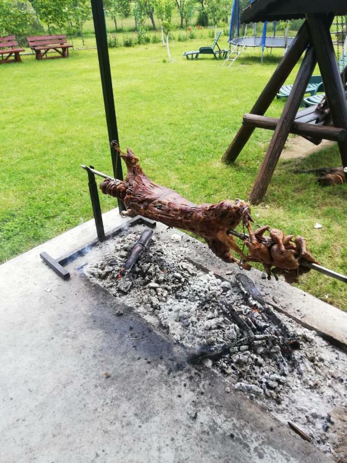 Hotel Casa Din Salcami Polovragi Zewnętrze zdjęcie