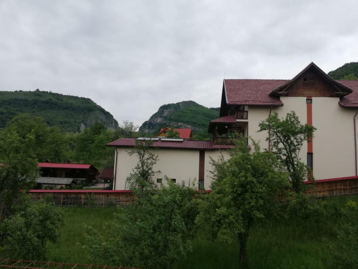 Hotel Casa Din Salcami Polovragi Zewnętrze zdjęcie